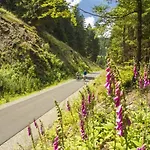 Vakantiehuisje Winterberg