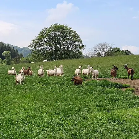 Vakantiehuisje Winterberg * Winterberg