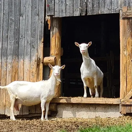Lägenhet Vakantiehuisje Winterberg Winterberg