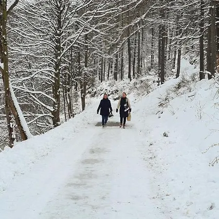 Vakantiehuisje Winterberg