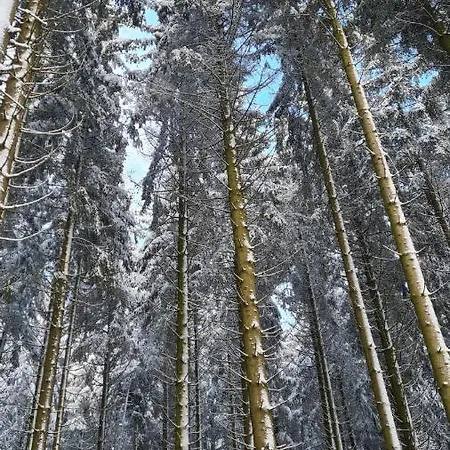 Lägenhet Vakantiehuisje Winterberg