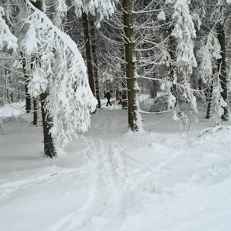Appartement Vakantiehuisje Winterberg