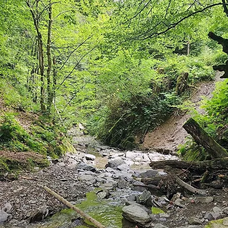 Vakantiehuisje Winterberg Διαμέρισμα *