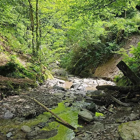 Vakantiehuisje Winterberg Apartman Winterberg