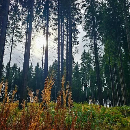 Vakantiehuisje Winterberg *