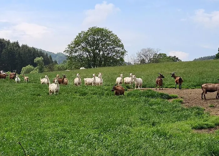 温特贝格度假屋 * 温特贝格
