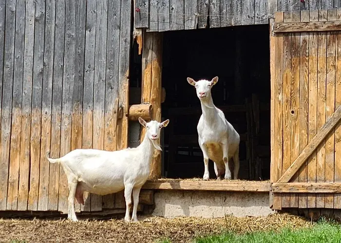 아파트 Vakantiehuisje Winterberg 빈터베르크