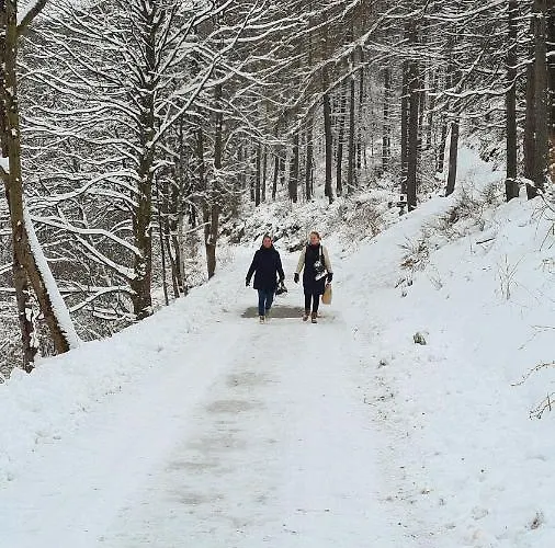 温特贝格度假屋