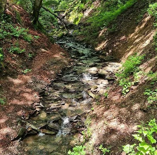 公寓 温特贝格度假屋 温特贝格