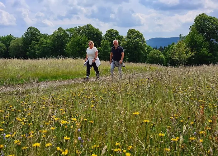 温特贝格度假屋 * 温特贝格