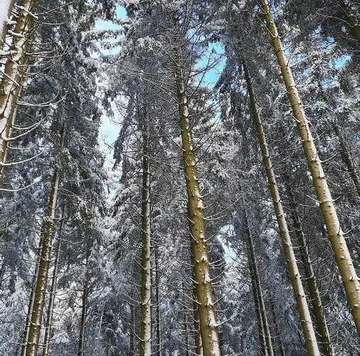 公寓 温特贝格度假屋