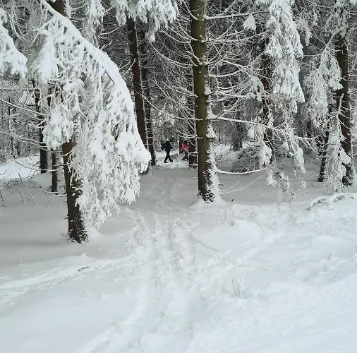 Appartement Vakantiehuisje Winterberg