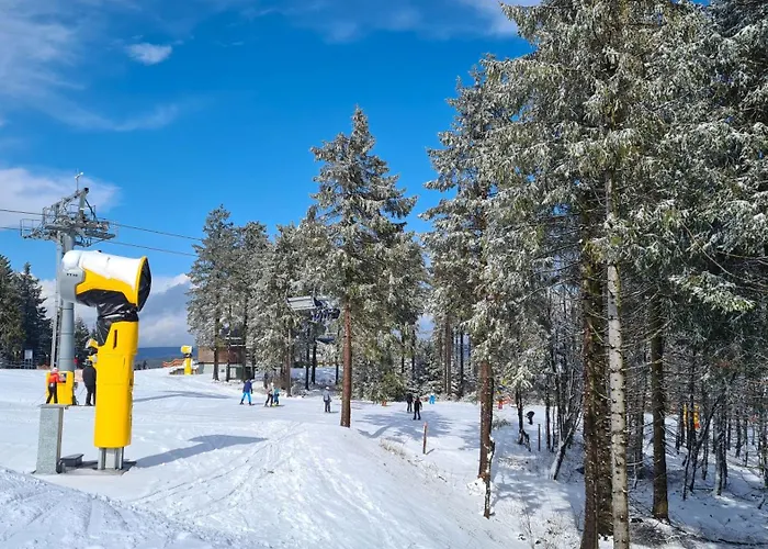 温特贝格度假屋 公寓 温特贝格