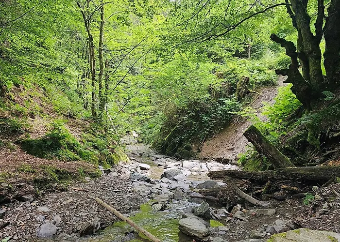 Vakantiehuisje Winterberg Appartement *