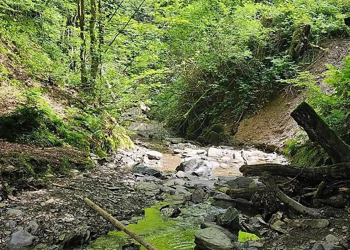 Vakantiehuisje Winterberg Appartement Winterberg