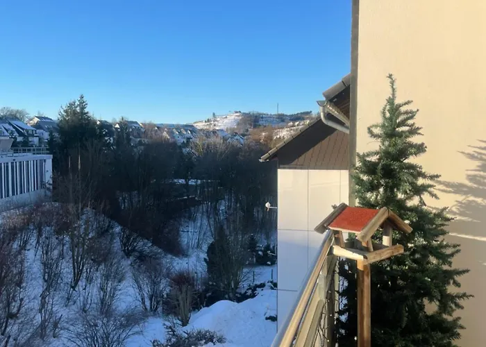 Vakantiehuisje Winterberg Appartement *