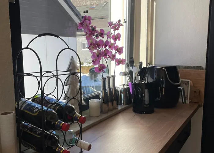 公寓 温特贝格度假屋 *