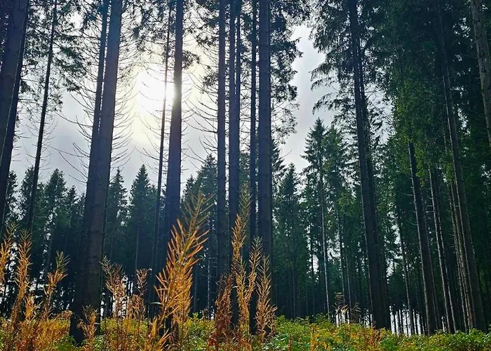 Vakantiehuisje Winterberg *