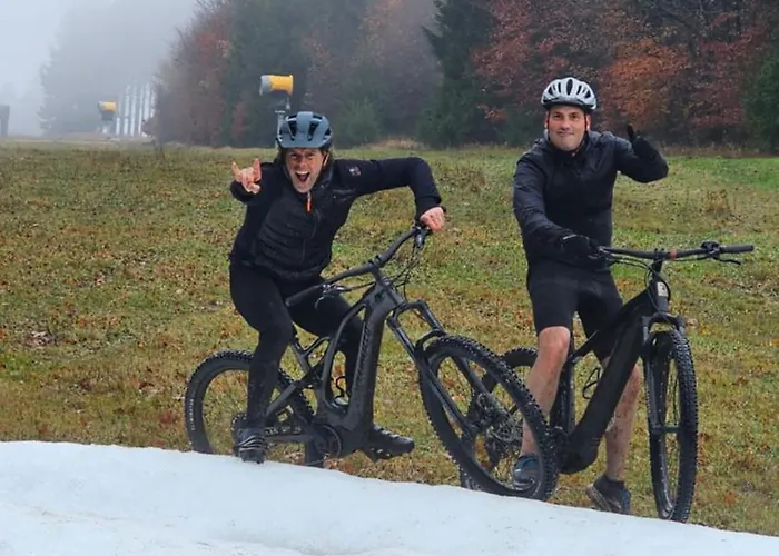 温特贝格度假屋 公寓 *